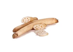 Lotus Root