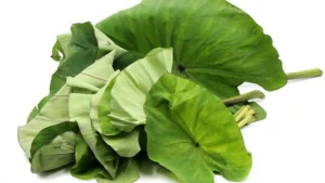 Alu Vadi Leaves (per pc)