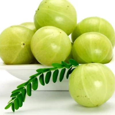 Amla (Per KG)