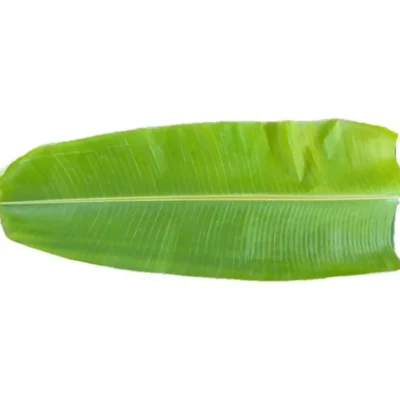 Banana Leaves (Per Pc)