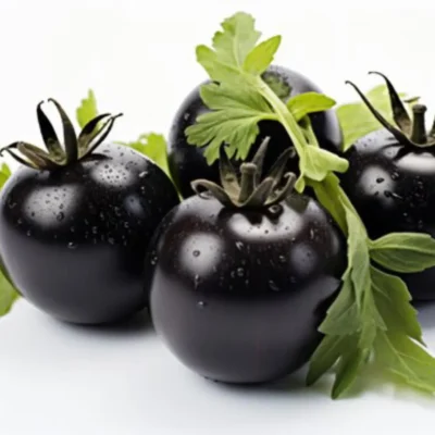 Cherry Tomatoes  (Black) (Imported) (Per KG)