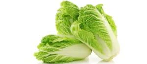 Chinese Cabbage