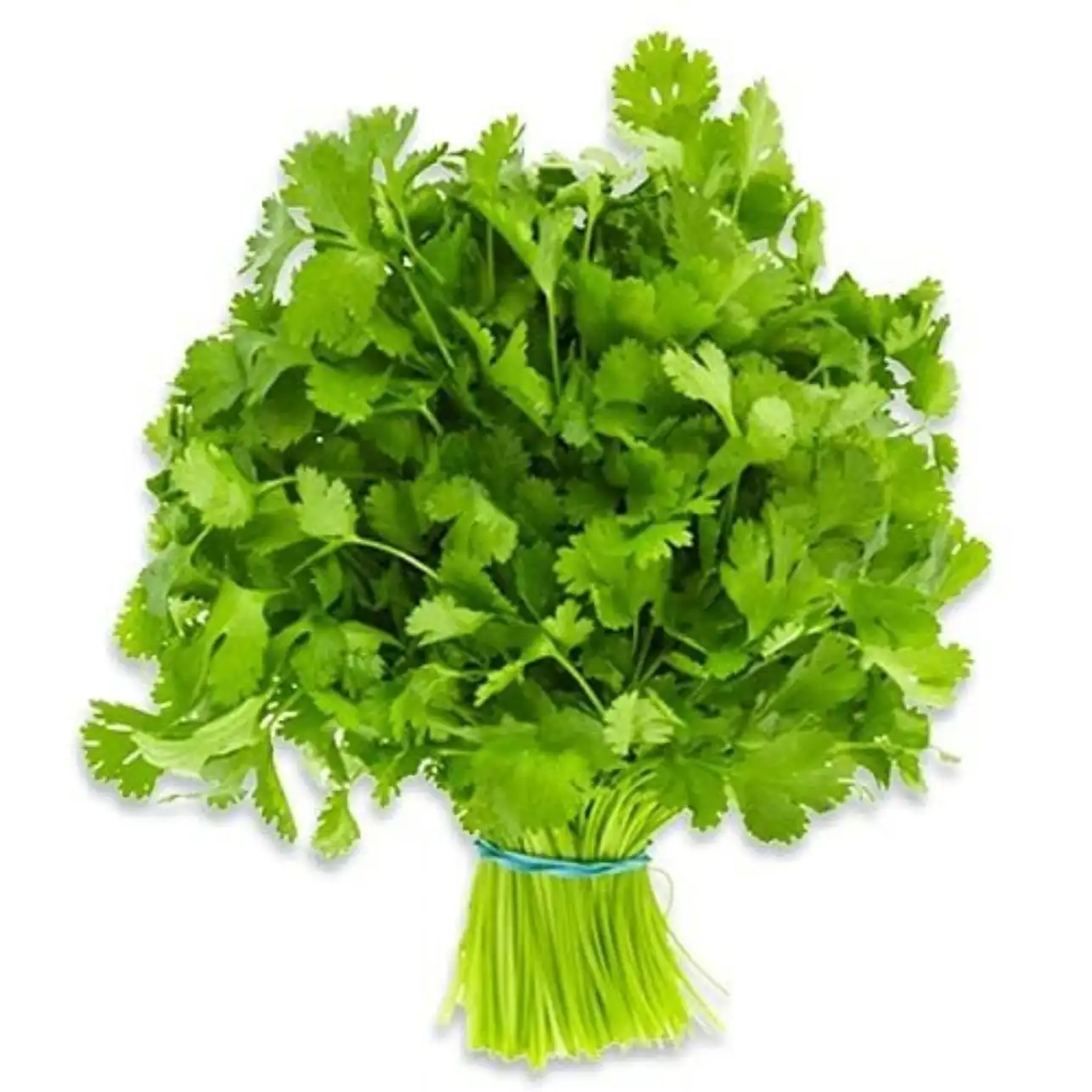 Coriander  (Bunch)