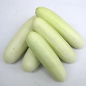 Cucumber  (White)