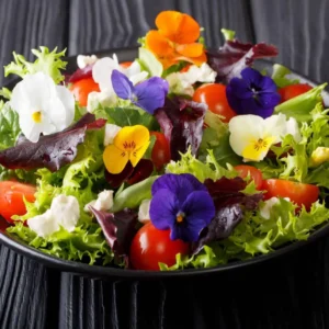 Edible Flowers (20 gm pkt)