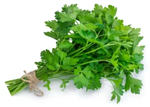 Flat Parsley