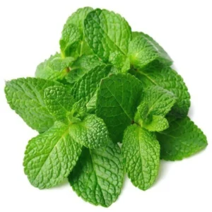 Pudina  (Mint) (Bunch)