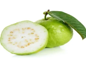 Guava (Peru)  (White)