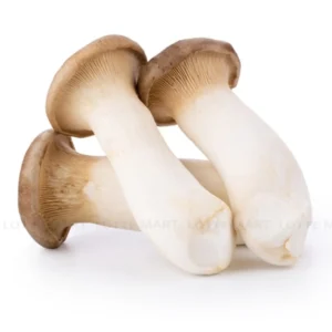 King Oyster Mushroom (Fresh) (Imported)
