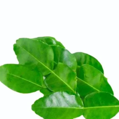 Lemon Leaves (imported) (50 GM Packet)