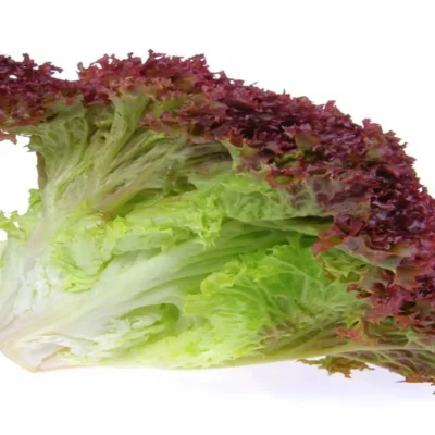 Lolo Rosso (Red lettuce) (Per KG)