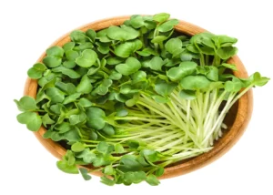 Micro Greens  (50 gm pkt)