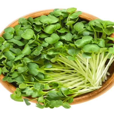 Micro Greens (50 gm pkt)
