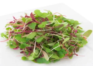 Micro Greens  (Mix) (50 gm pkt)