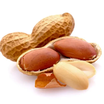 Sheng (akka) (Per KG)