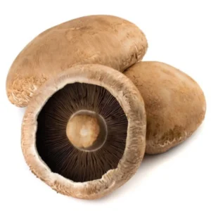 Portobello Mushroom  (Imported)