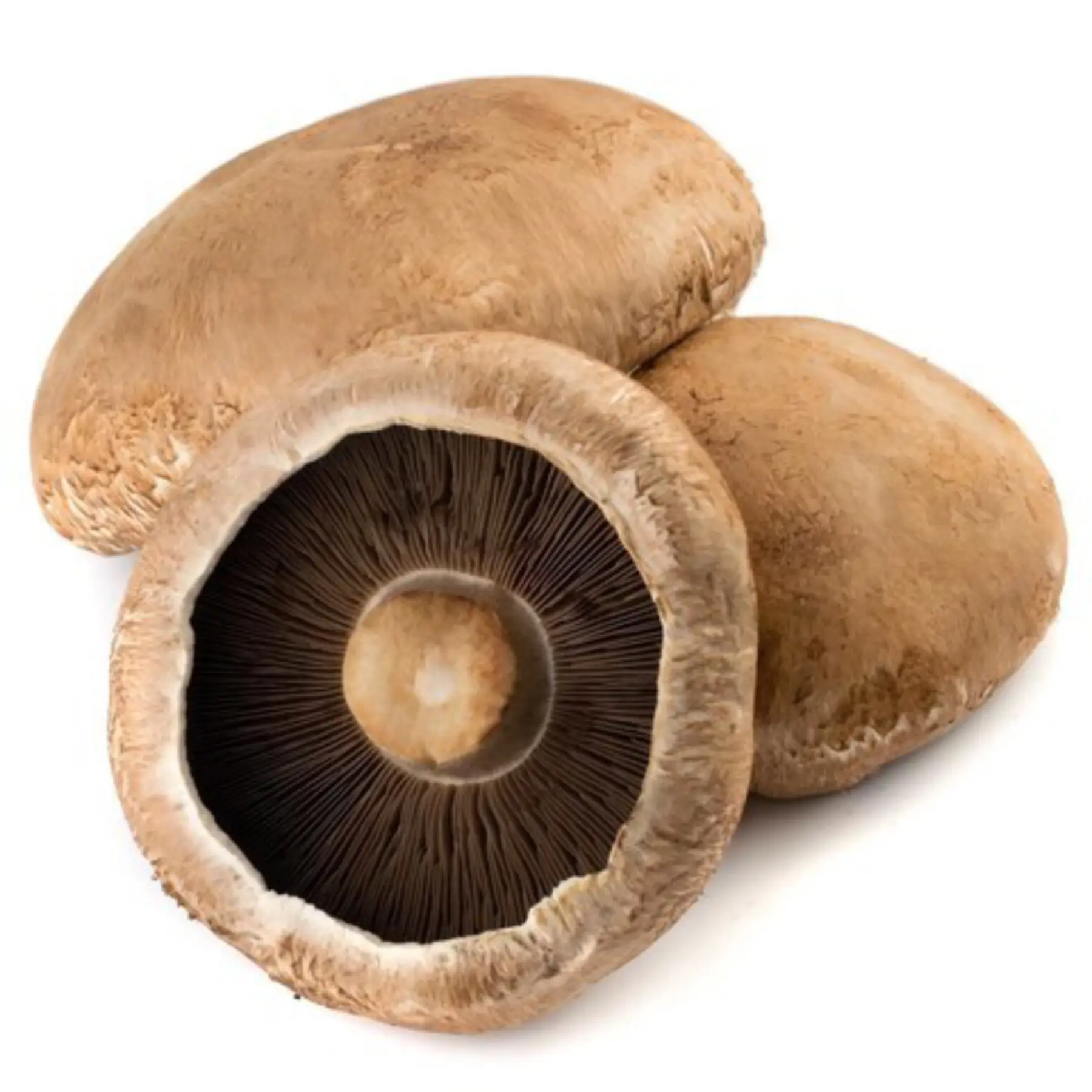 Portobello Mushroom  (Imported) (Per KG)
