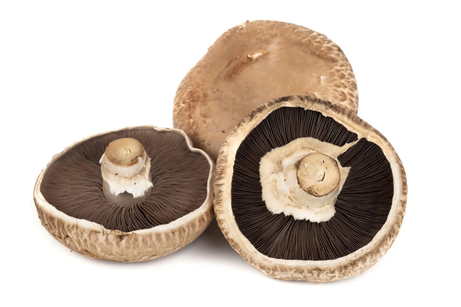 Portobello Mushroom (Per KG)
