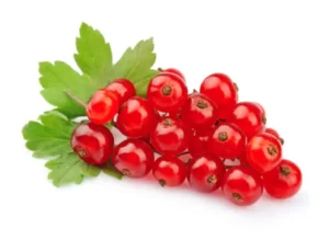 Red currant (Fruits) (Imported) (125 gm pkt)