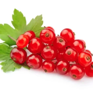 Red currant (Fruits) (Imported) (125 gm pkt)