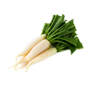 Redish  (White) (Long)