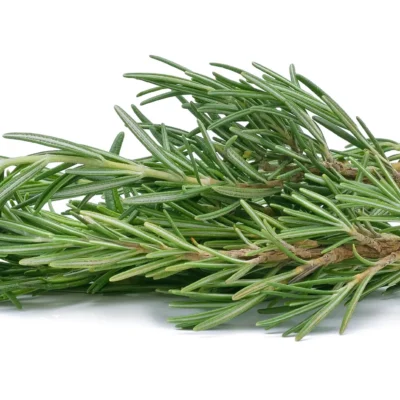 Rosemary (Per KG)