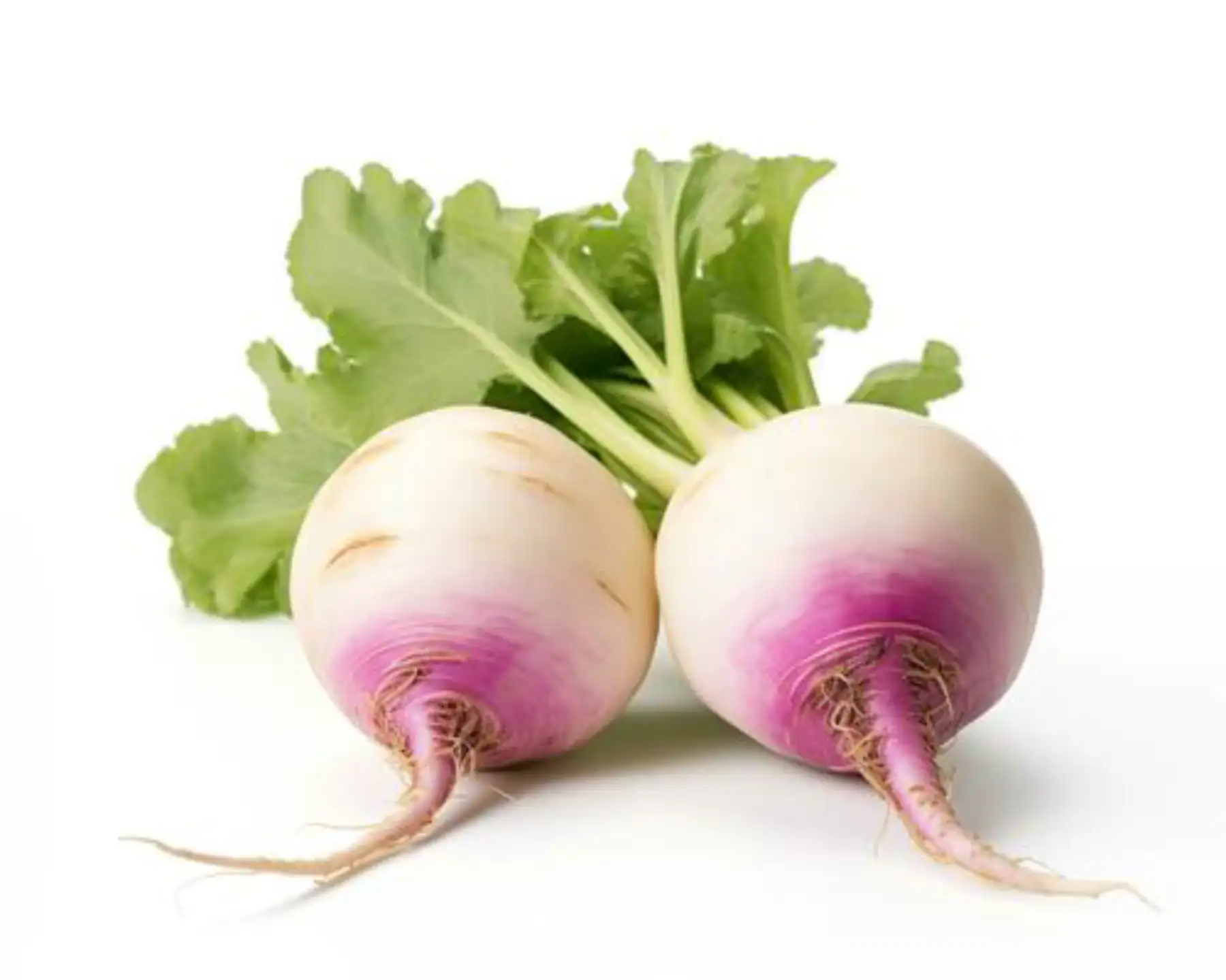 Shalgum (Turnip) (Per KG)