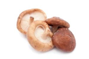 Shiitake Mushroom (Fresh) (Imported)