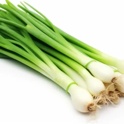 Spring Onion  (bunch)
