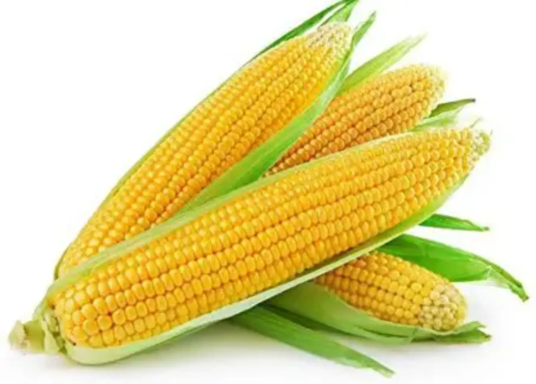 Sweet Corn (Bhutta) (Per KG)