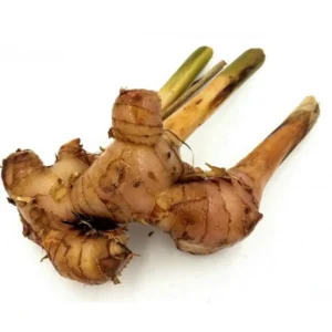 Thai Ginger