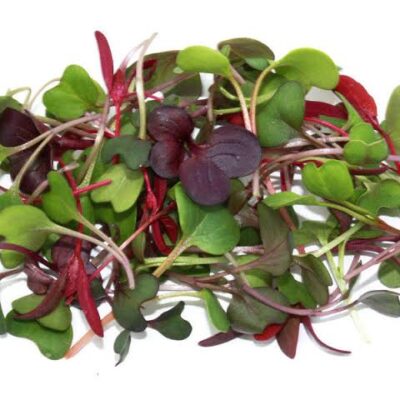 Micro Greens (Mix) (50 gm pkt)