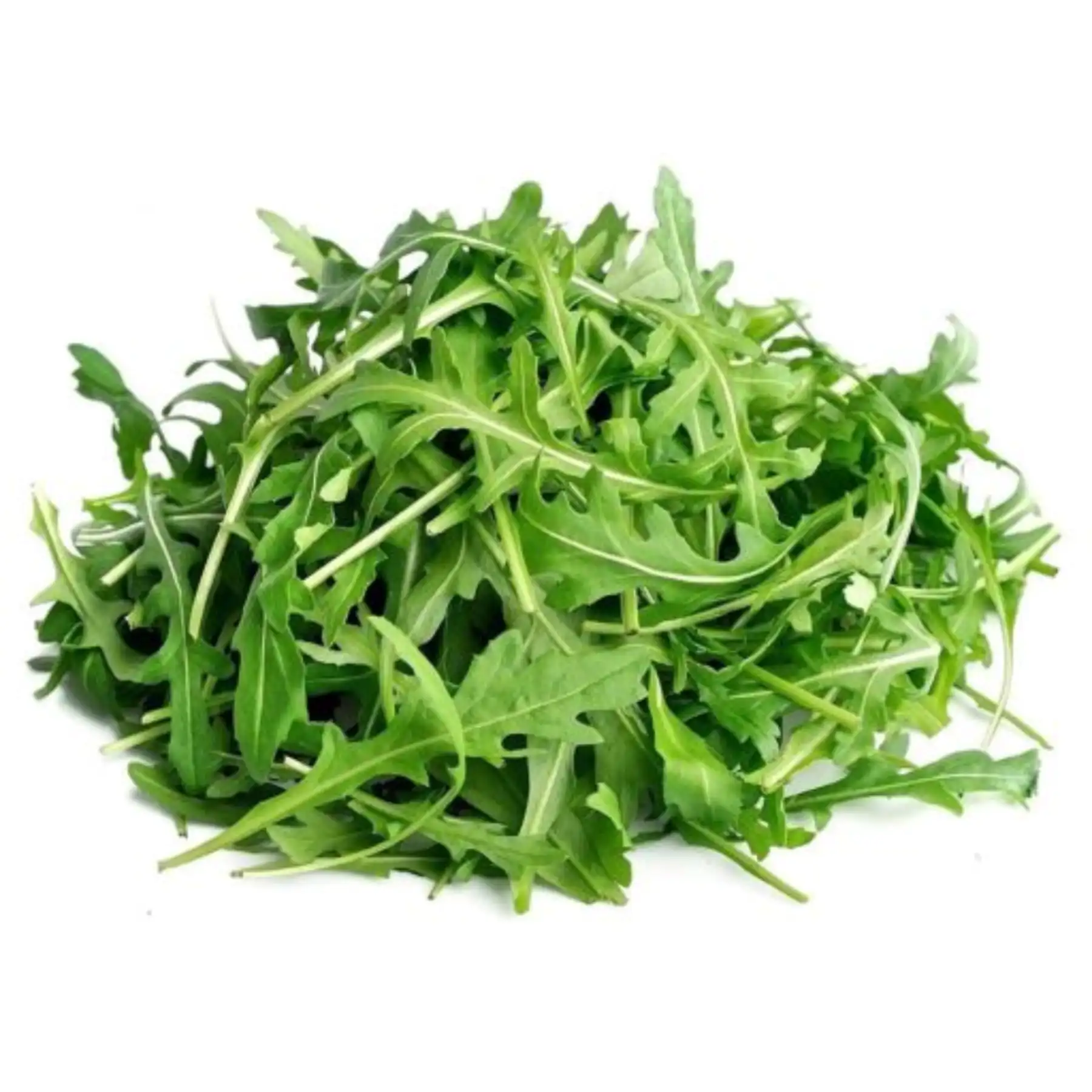 Wild Rocket  (Imported) (125 gm pkt)