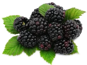 Blackberry (Fruits) (Imported)(125 gm pkt)