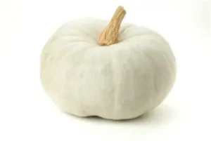 White Pumpkin