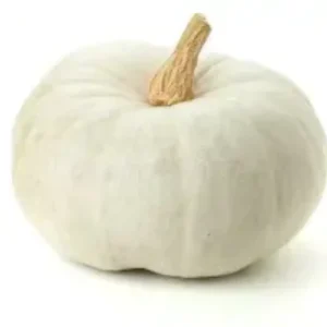 White Pumpkin (Per KG)