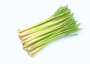 Lemongrass