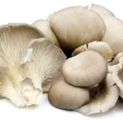 Oyster Mushroom (Fresh) (Indian) (200 gm pkt)
