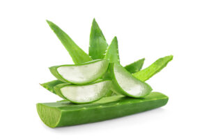 Aloe Vera (Per KG)