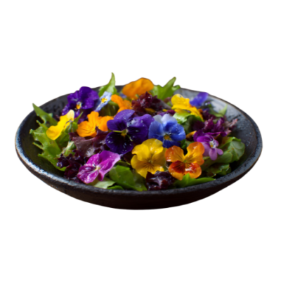 Edible Flowers (20 gm pkt)