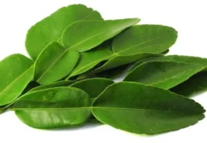 Lemon Leaves (Indian) (100 gm)