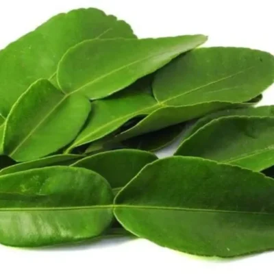 Lemon Leaves (Indian) (50 GM Packet)
