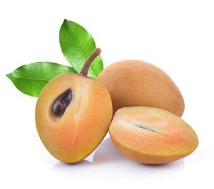 Chikoo  (Big) (Dozen)