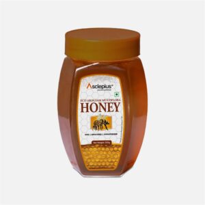 ECO AROGYAM MULTIFLORA HONEY (NEW)